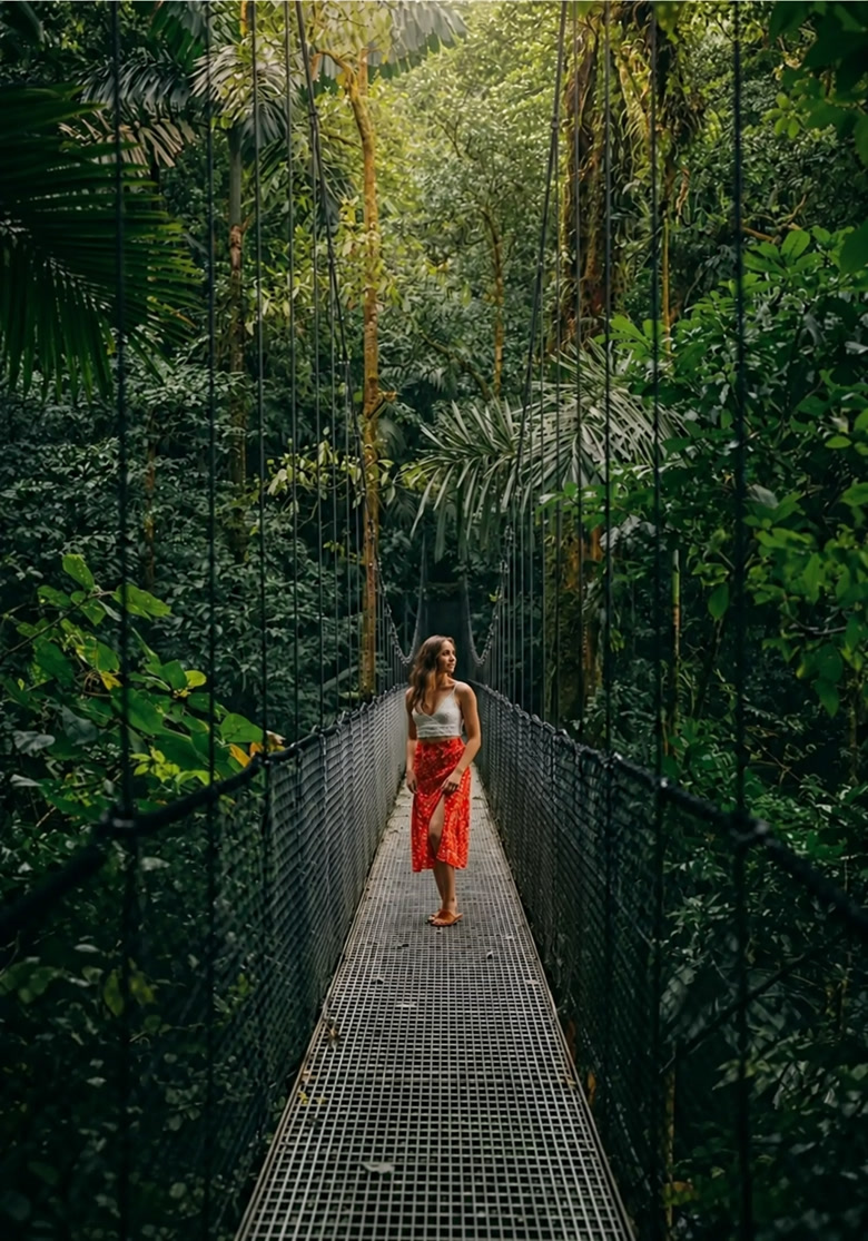 A hanging bridge in the rainforest canopy